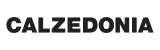 Calzedonia logo