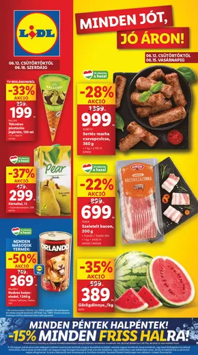 Lidl katalógus, Törökszentmiklós | Akciós újság – 24. hét | 2025-06-12T00:00:00.000Z - 2025-06-18T00:00:00.000Z